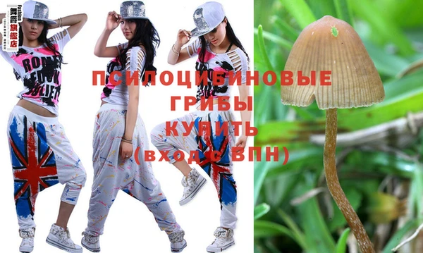 spice Абдулино