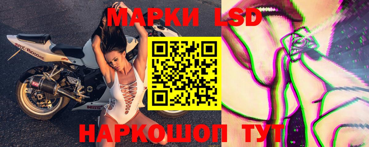 Наркотические марки 1500мкг  Наркотические марки 1500мкг  где найти наркотики  Тихорецк  Вход с VPN 