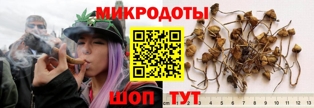Псилоцибиновые грибы Magic Shrooms Тихорецк